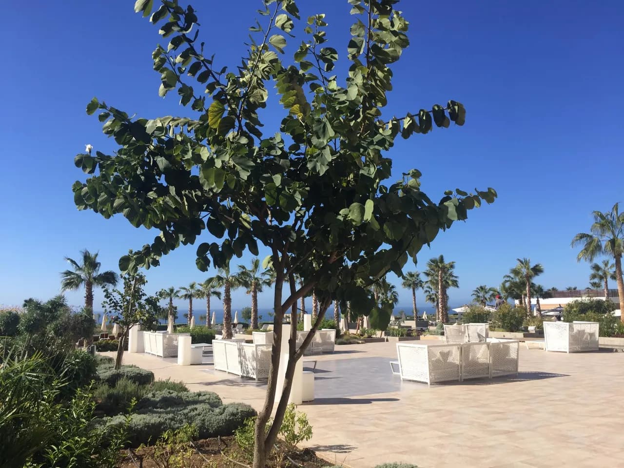 Hyatt Place Taghazout Bay 5