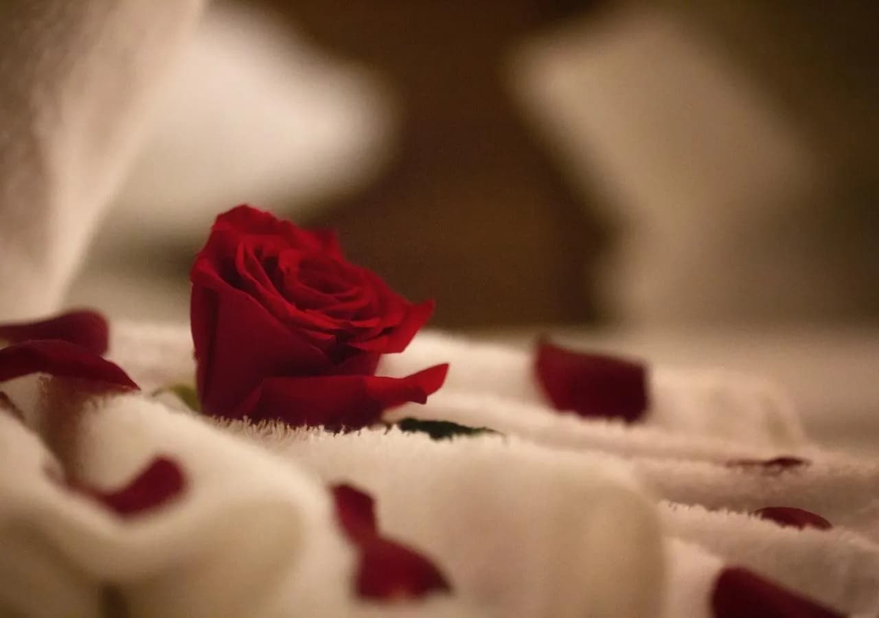 Al Safwah Royale Orchid 5