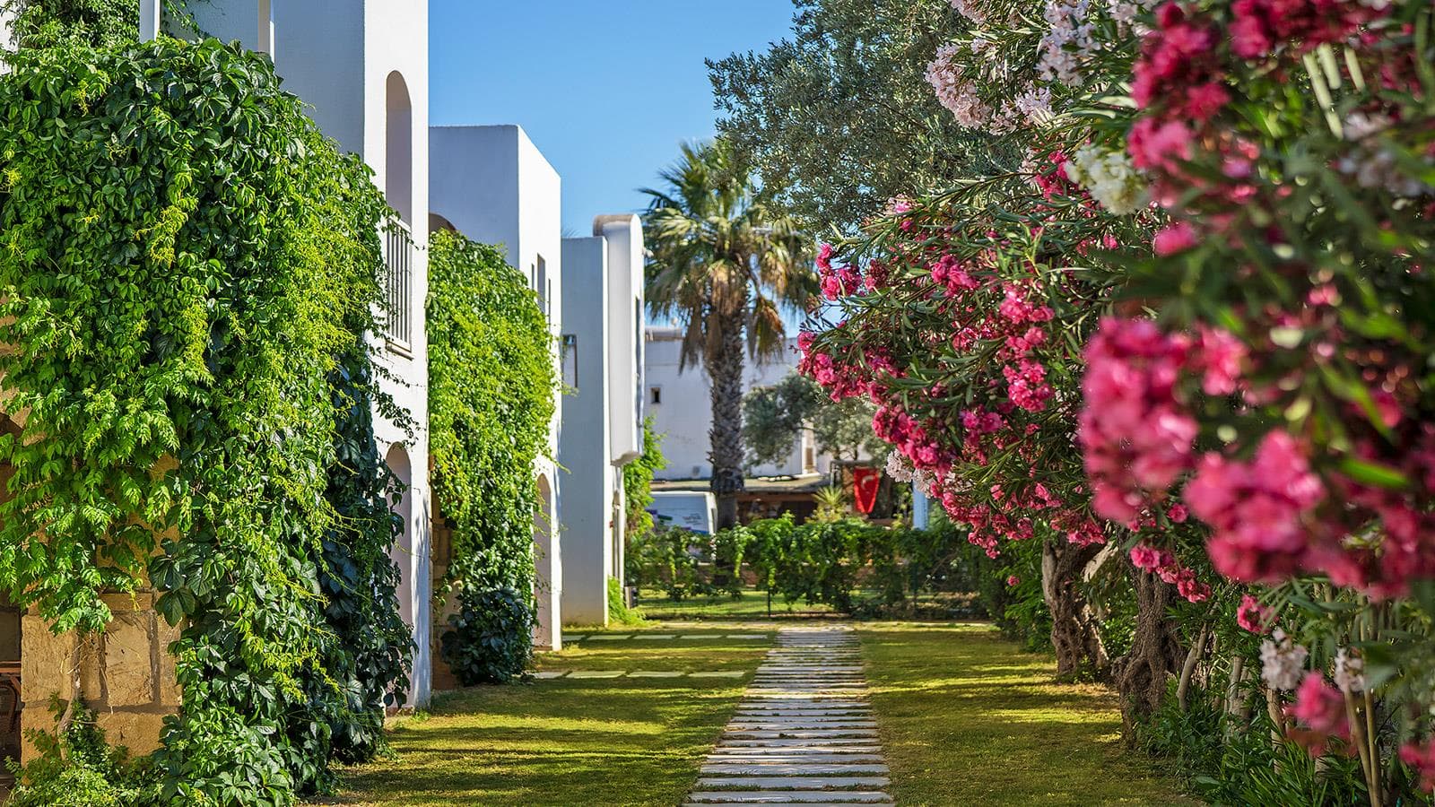 Toka Bodrum Hotel & Beach Club 4