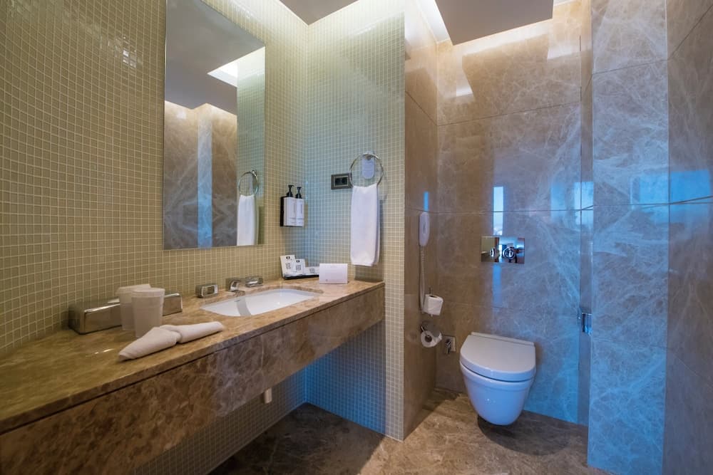 Crowne Plaza Kayseri 4