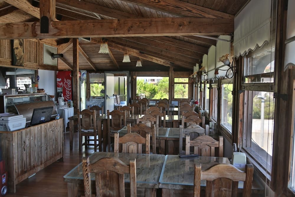 Arya Karaburun 2