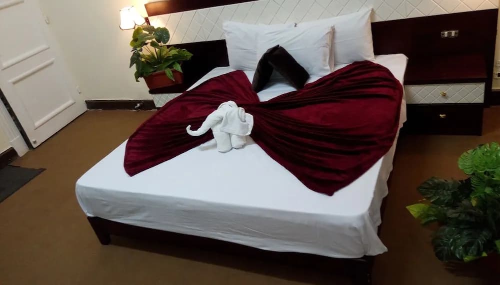 Cairo Paradise Hotel 5