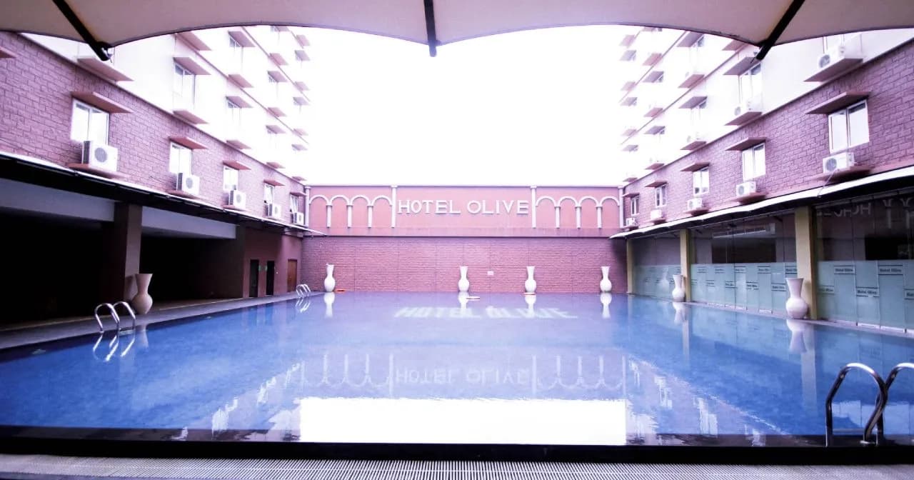 Hotel Olive 5