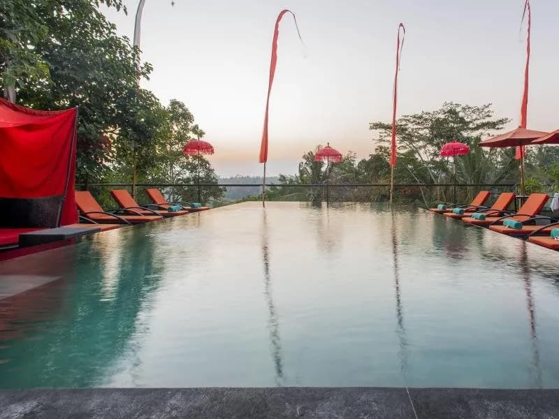 Jungle Retreat Ubud 5