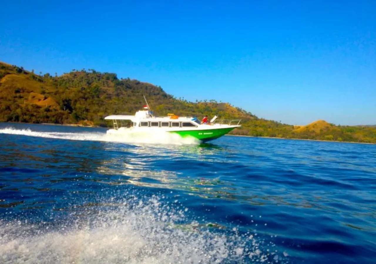 Sylvia Hotel & Resort Komodo 5