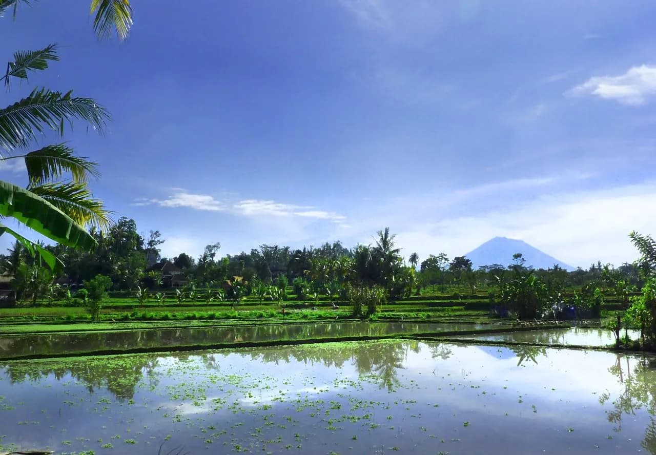 Temuku Villas Ubud 4