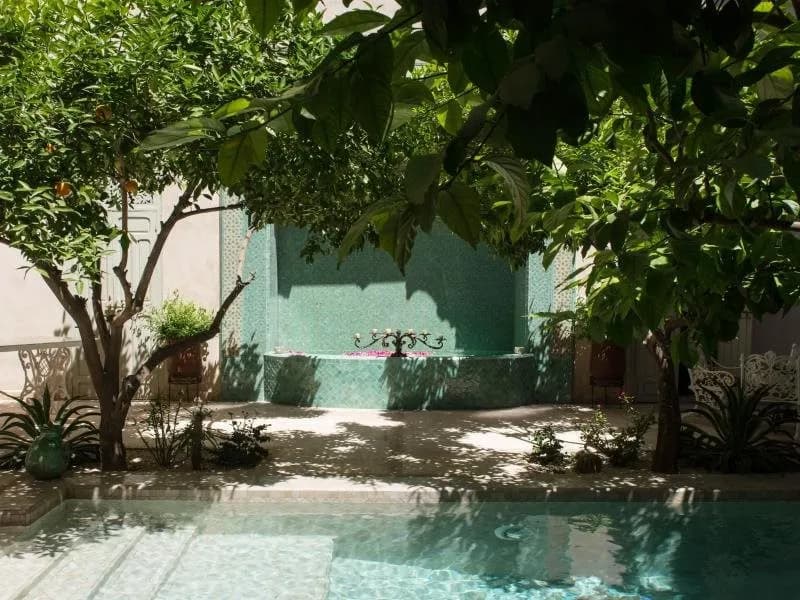 Riad Emberiza Sahari