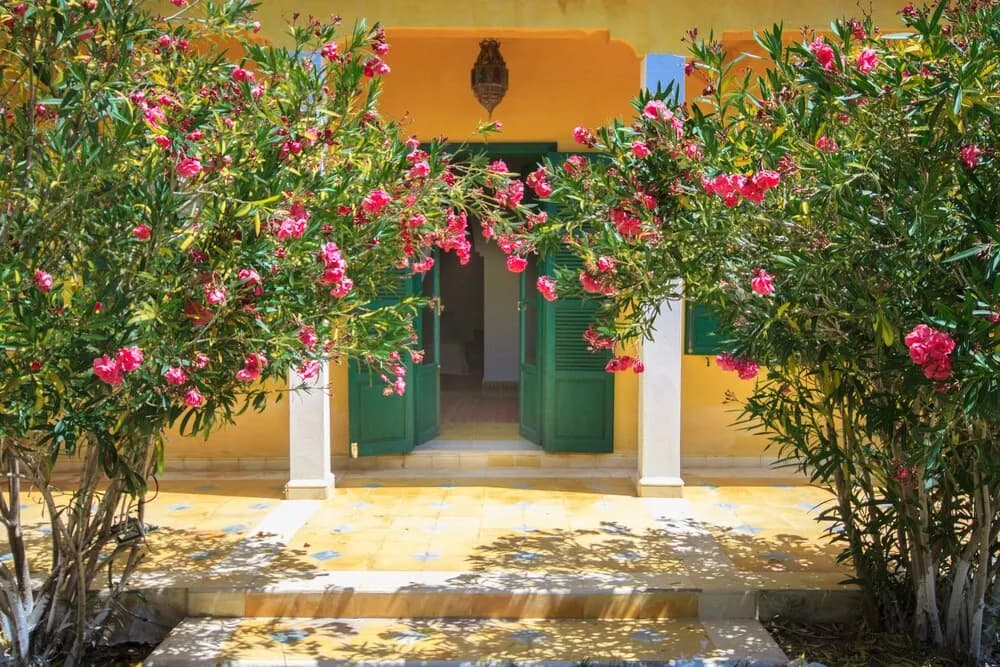 Villa Juba 2