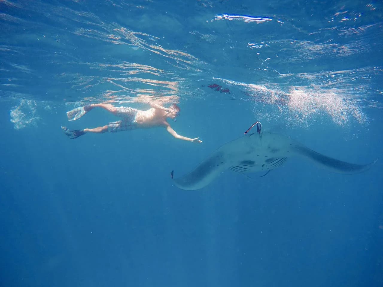 Aveyla Manta Village 4