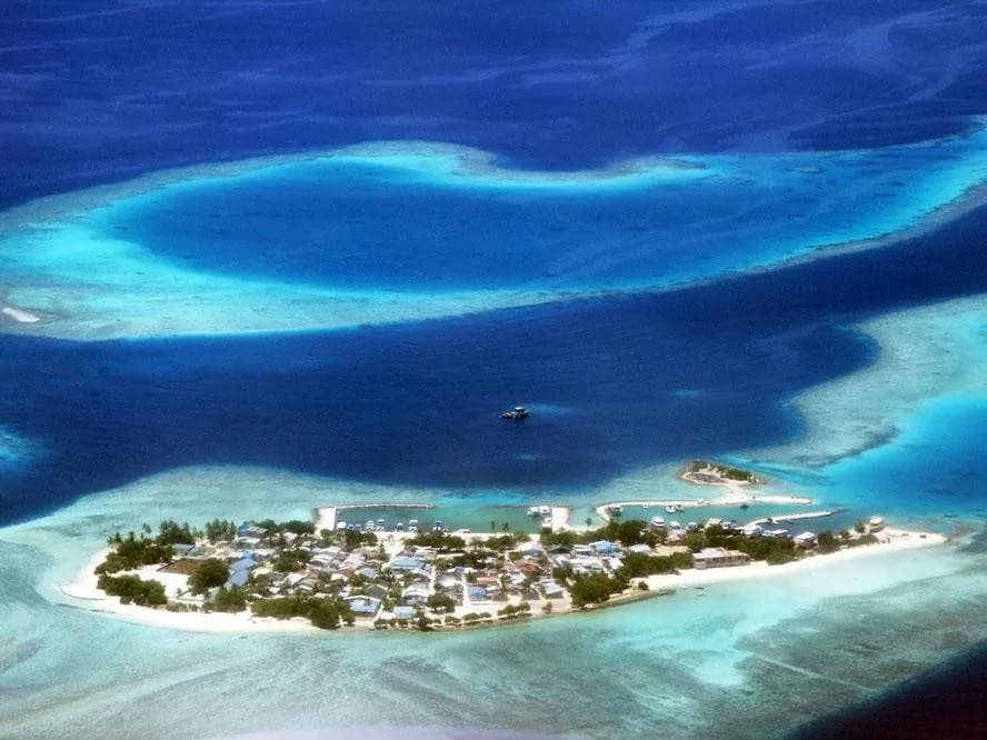 Tropic Tree Hotel Maldives 3