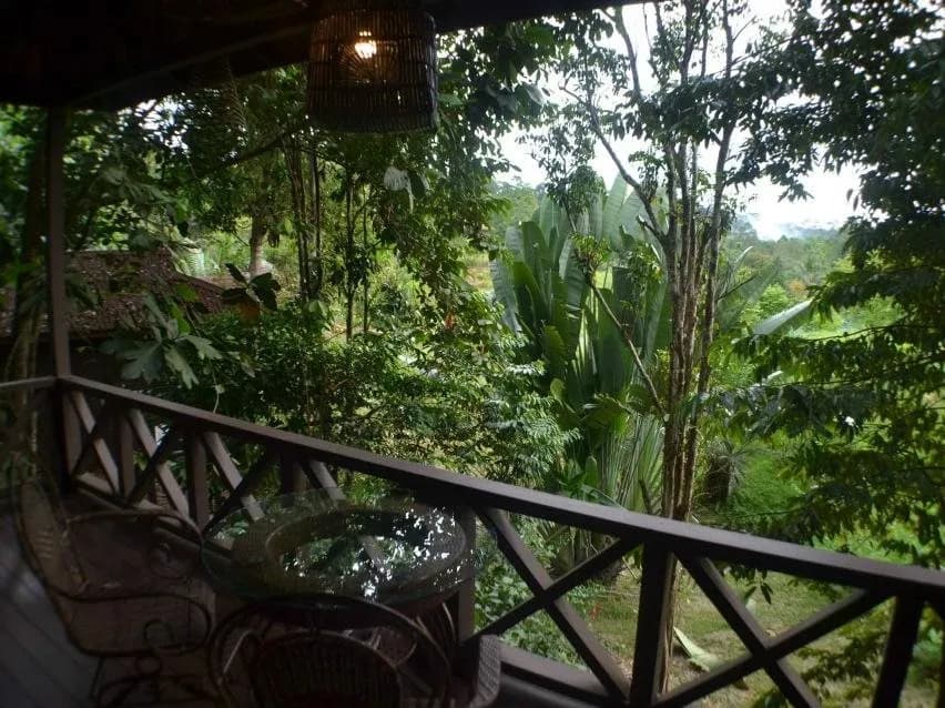 Sepilok Forest Edge Resort 3
