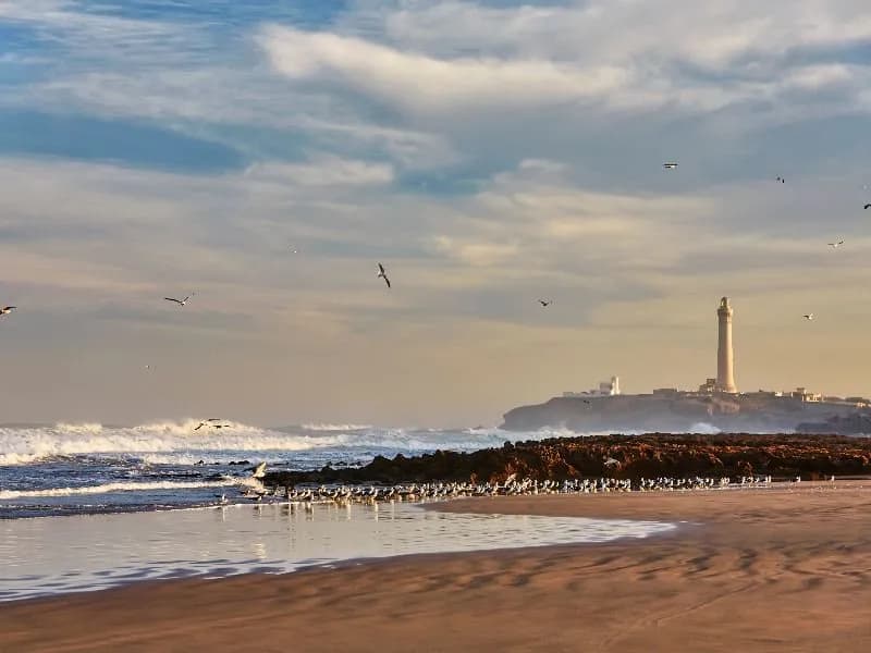Four Seasons Hotel Casablanca 5