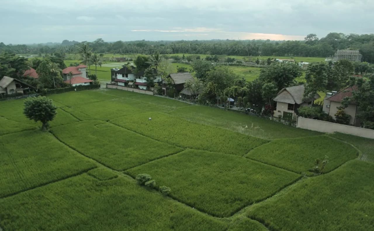 The Evitel Resort Ubud 3