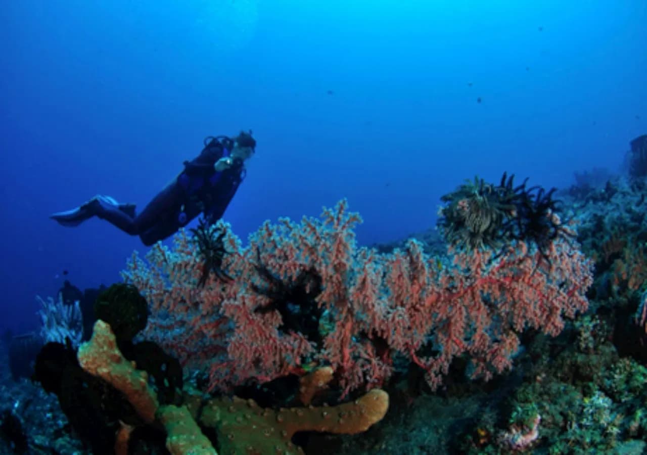Tulamben Wreck Divers Resort 3