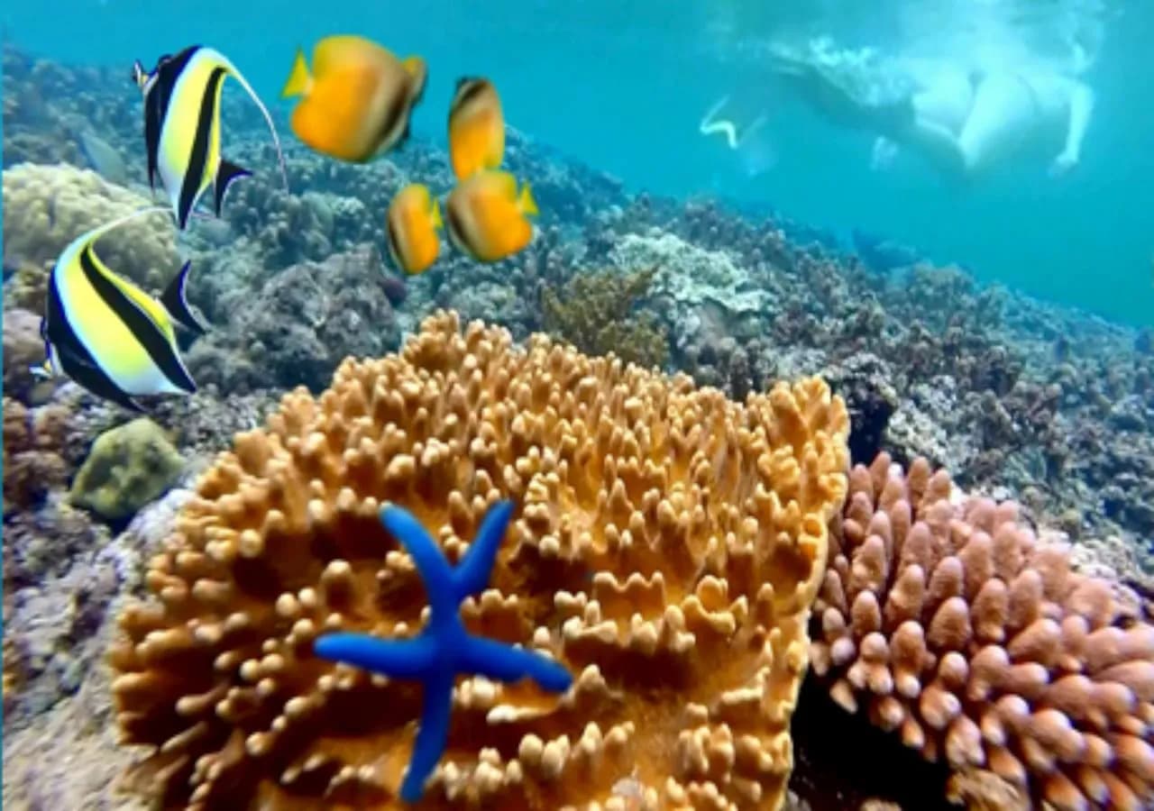 Tulamben Wreck Divers Resort 4