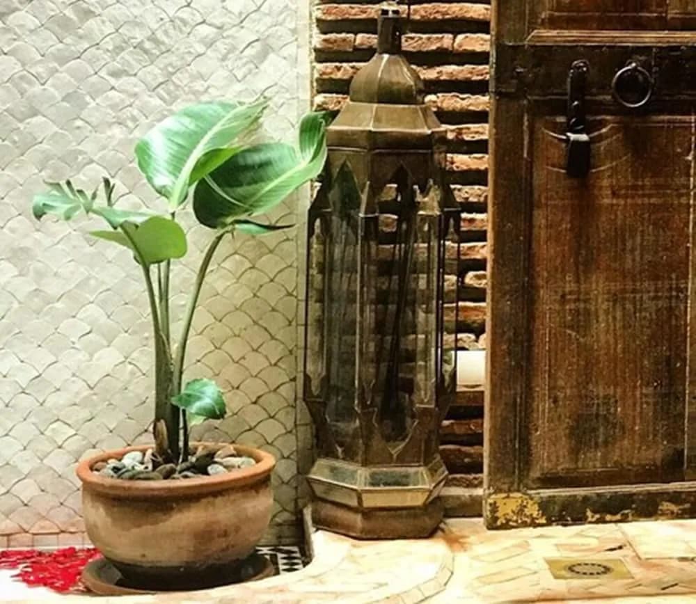 Riad Palacio De Las Especias 3