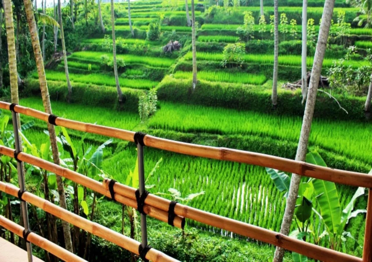 Junjungan Suite Villa