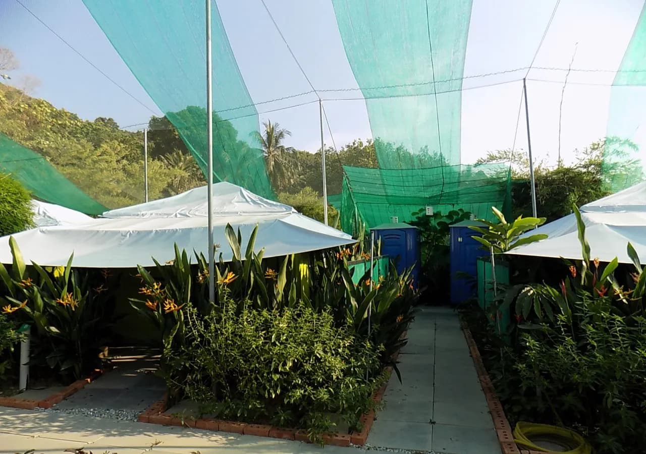 T Star Cottage Langkawi 3