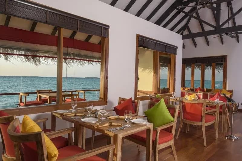 Dhigufaru Island Resort 5