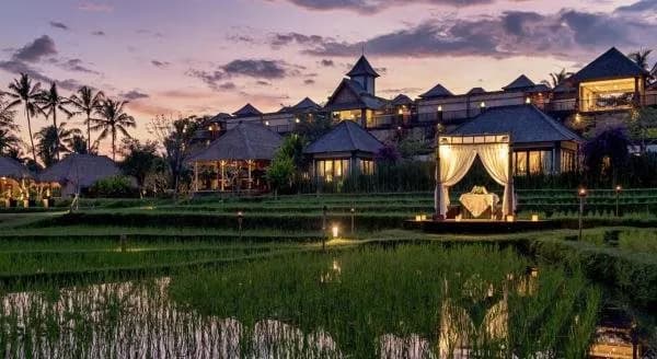 Visesa Ubud Resort 5