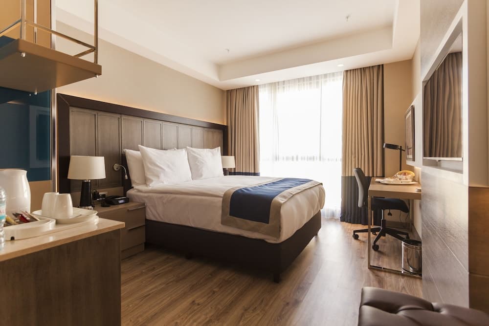 Holiday Inn Kayseri - Düvenönü 5