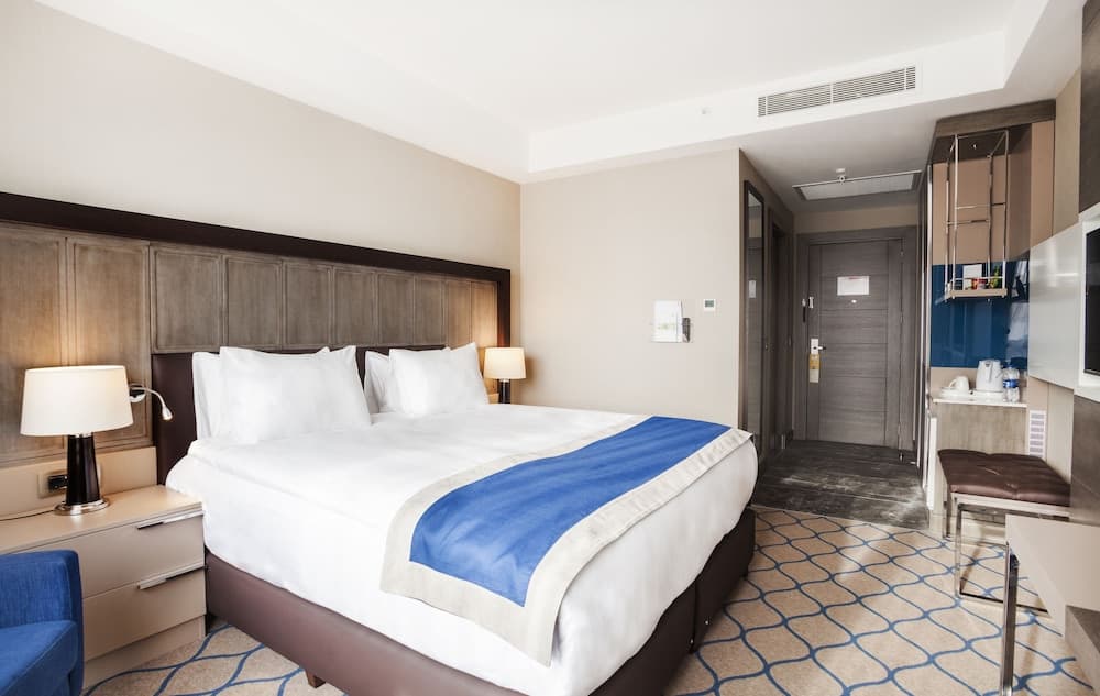 Holiday Inn Kayseri - Düvenönü 3
