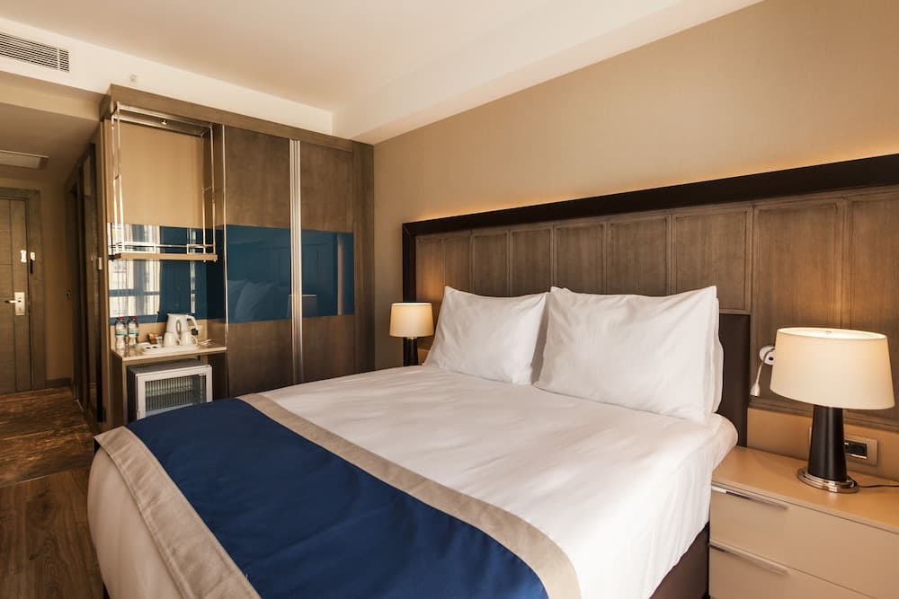 Holiday Inn Kayseri - Düvenönü 4