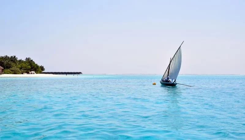 Bibee Maldives 4
