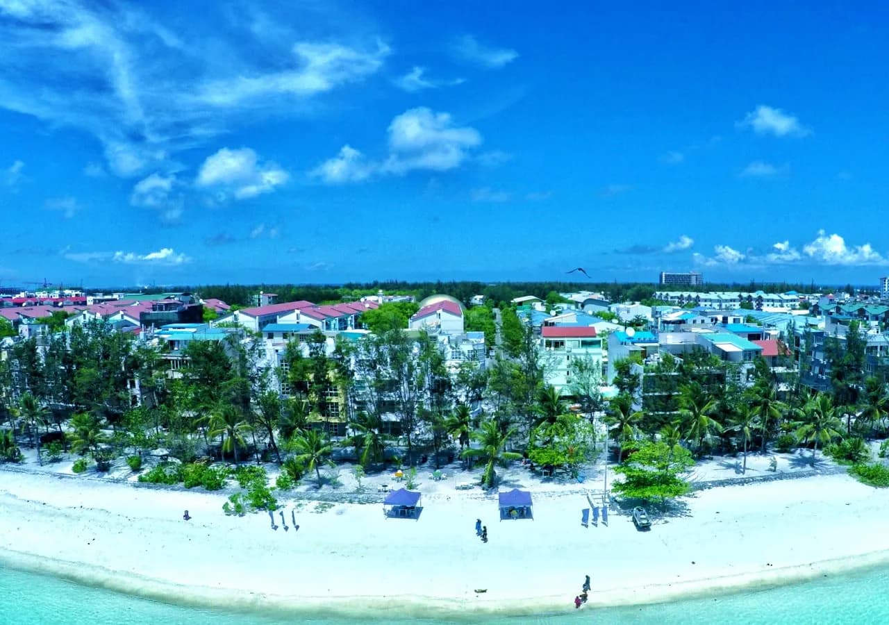 Planktons Beach 3