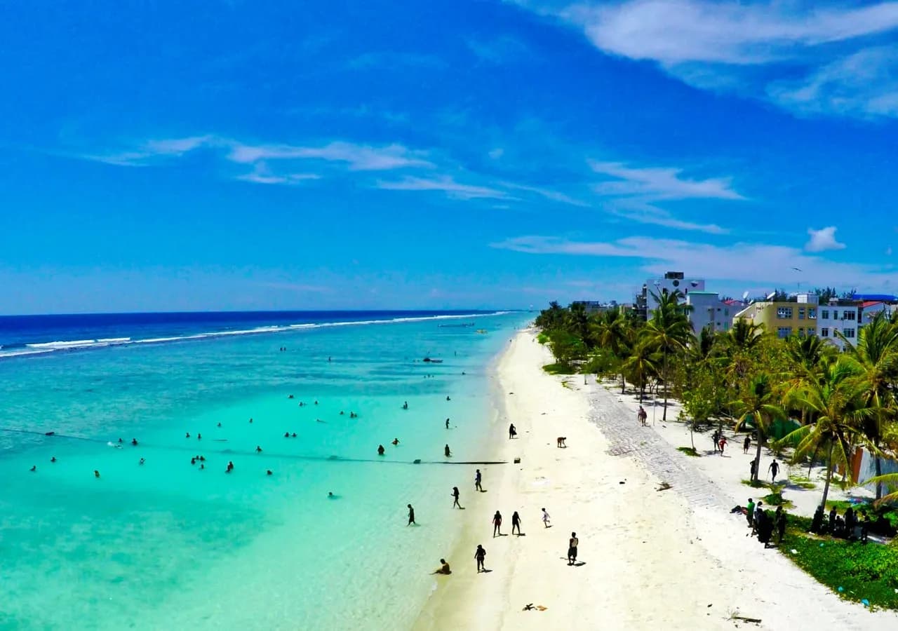 Planktons Beach 4
