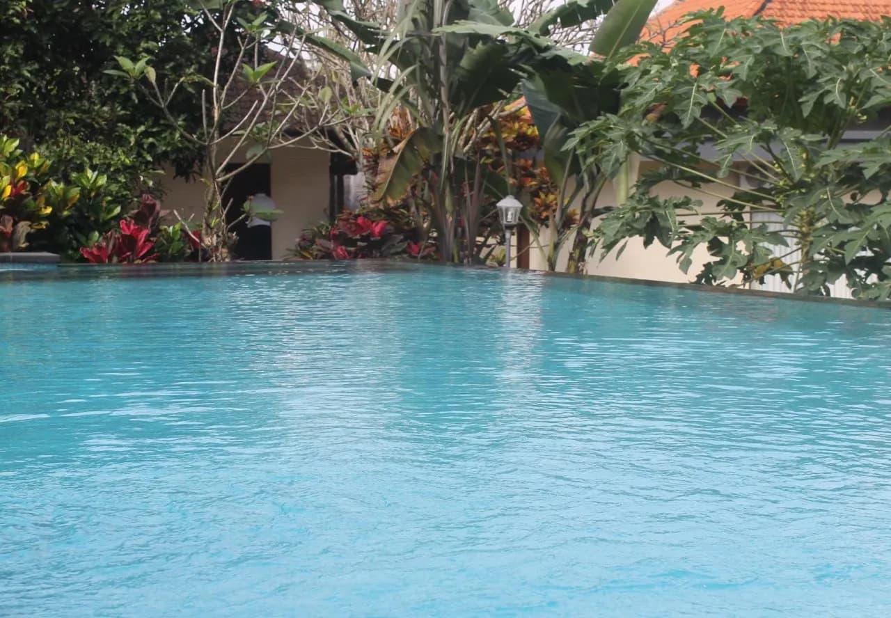 Agung Trisna Bungalows 4