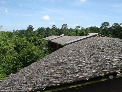 Paganakan Dii Tropical Retreat 5