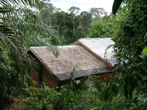 Paganakan Dii Tropical Retreat 2