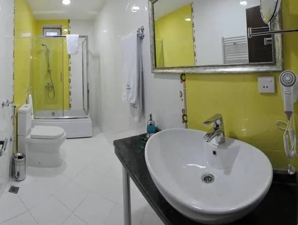 Vilesh Palace Hotel 5