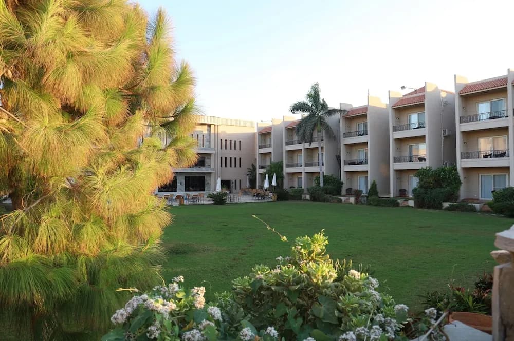 Panacea Hotel 2