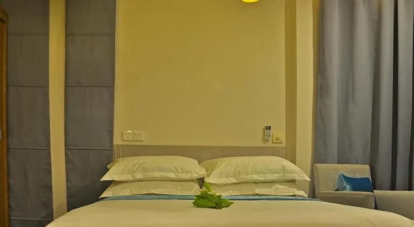 Hotel Star Shell 2