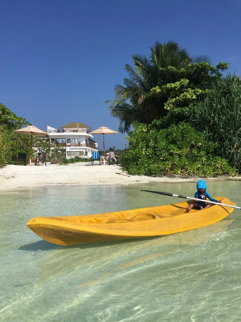 Olive Goidhoo 4