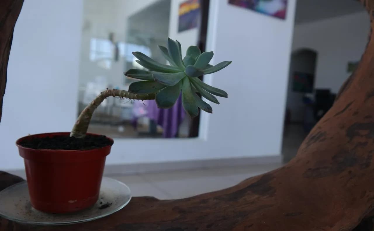 S8 Boutique Hotel 3