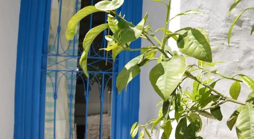 La Chambre Verte