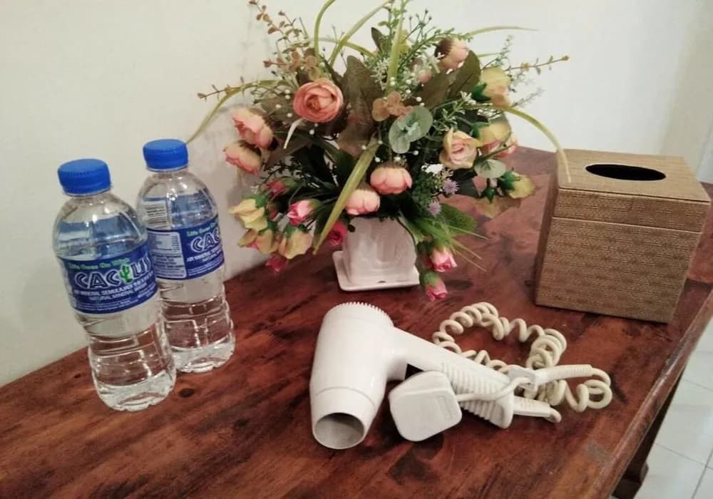 Ainis Guest House