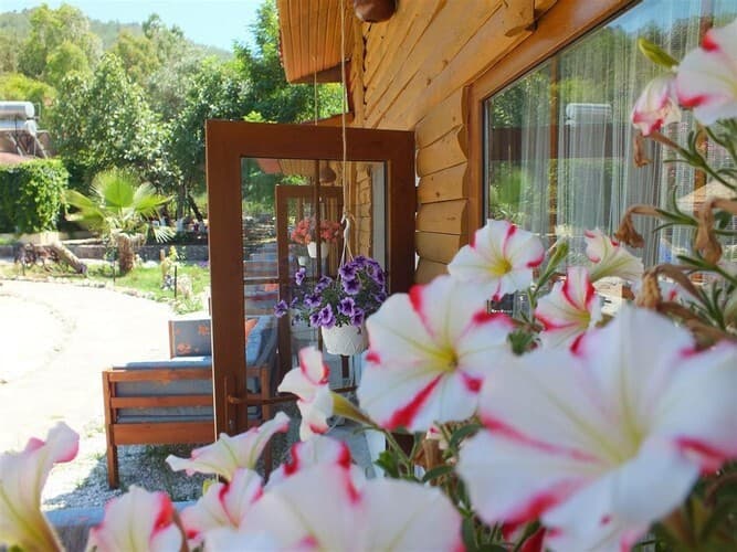 Utopia Lodge Hotel 4